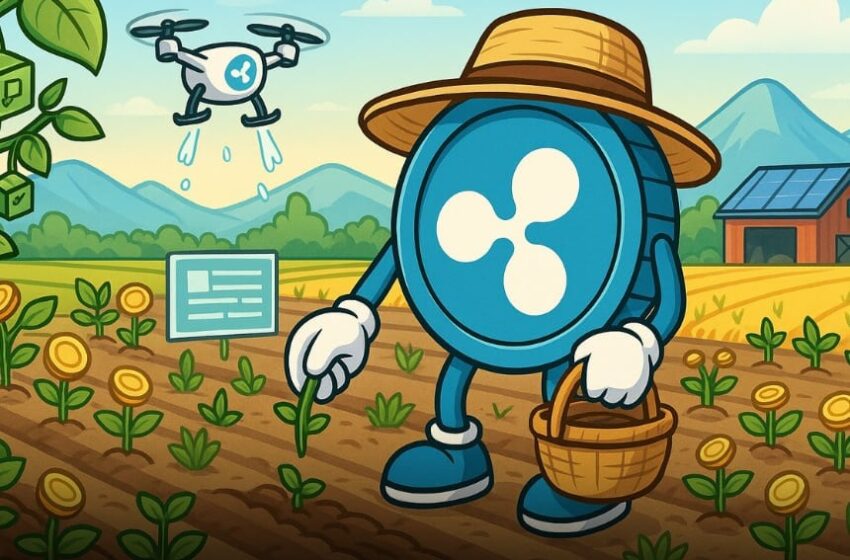 XRPTurbo: Revolutionizing XRP’s DeFi Landscape with Liquid Staking and an AI Agent Launchpad