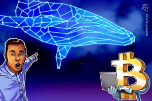  Bitcoin Whale Transfers of $9.6 Billion Spark Correction Concerns