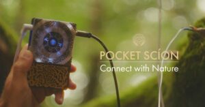 A New Synthesizer: Music from Plants